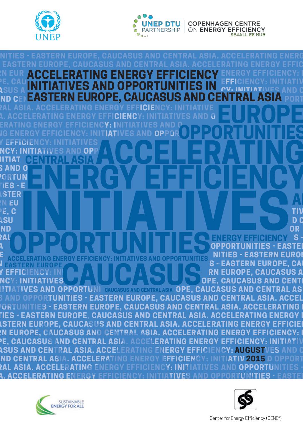 Accelerating Energy Efficiency: Initiatives and Opportunities – Eastern Europe, the Caucasus and Central Asia (English version)