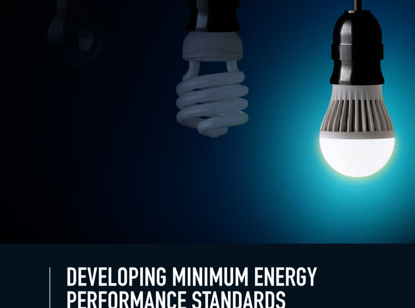 DEVELOPING MINIMUM ENERGY PERFORMANCE STANDARDS FOR LIGHTING PRODUCTS ...