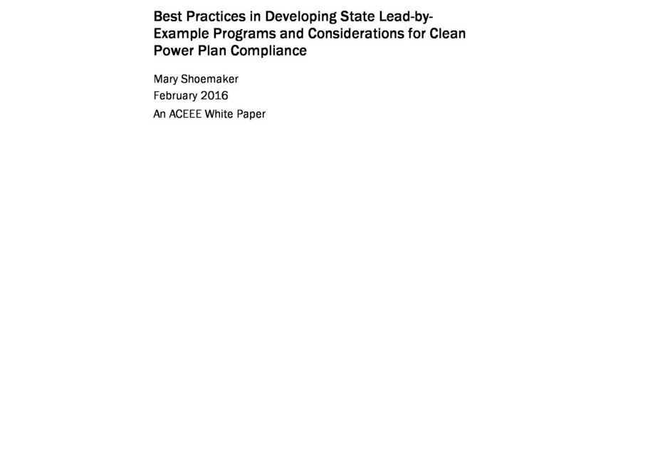 best-practices-in-developing-state-lead-by-example-programs-and