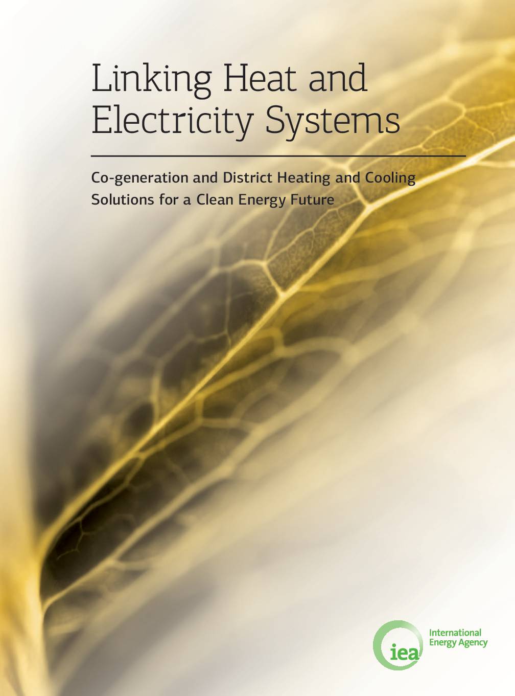 Linking Heat and Electricity Systems