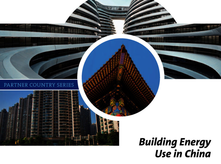 Partner Country Series - Energy Use in the Chinese Building Sector ...