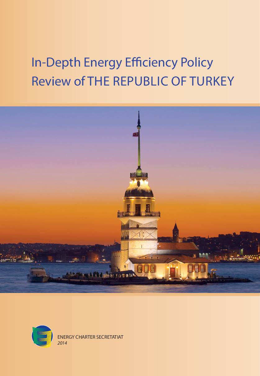 In-Depth Review of Energy Efficiency Policies of Turkey