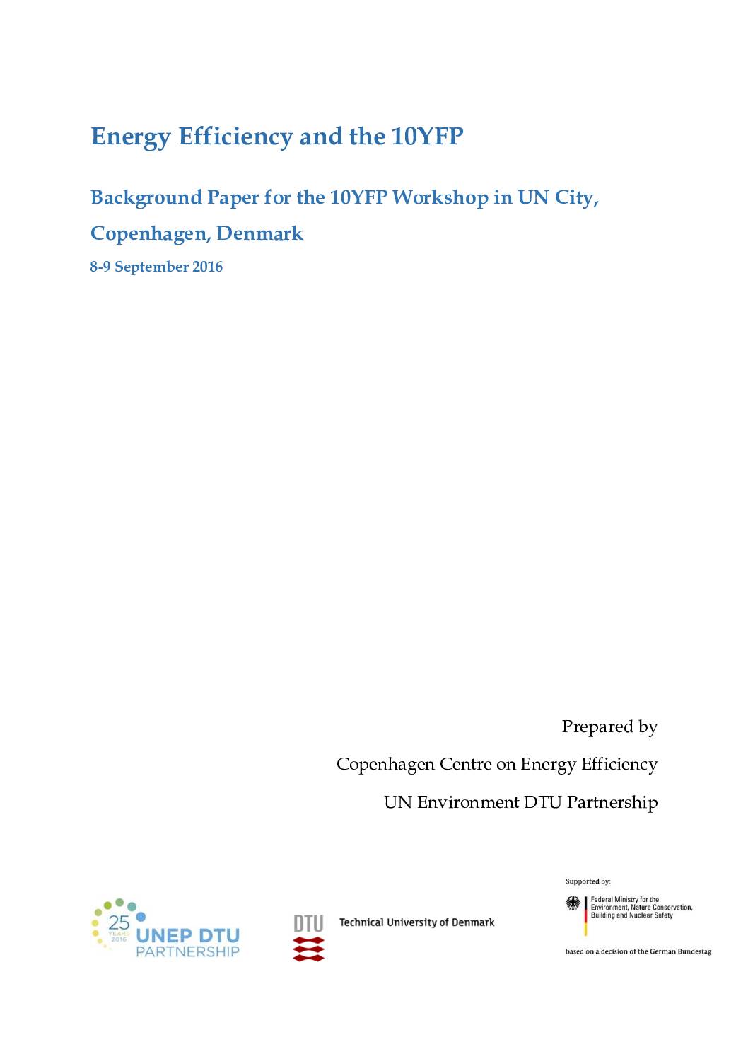 Energy Efficiency and the 10YFP. Background Paper for the 10YFP Workshop in UN City, Copenhagen, Denmark