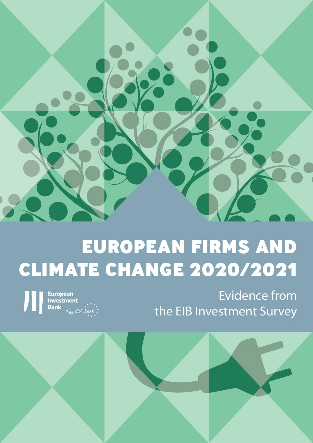 European Firms and Climate Change: 2020/2021: Evidence From the EIB Investment Survey