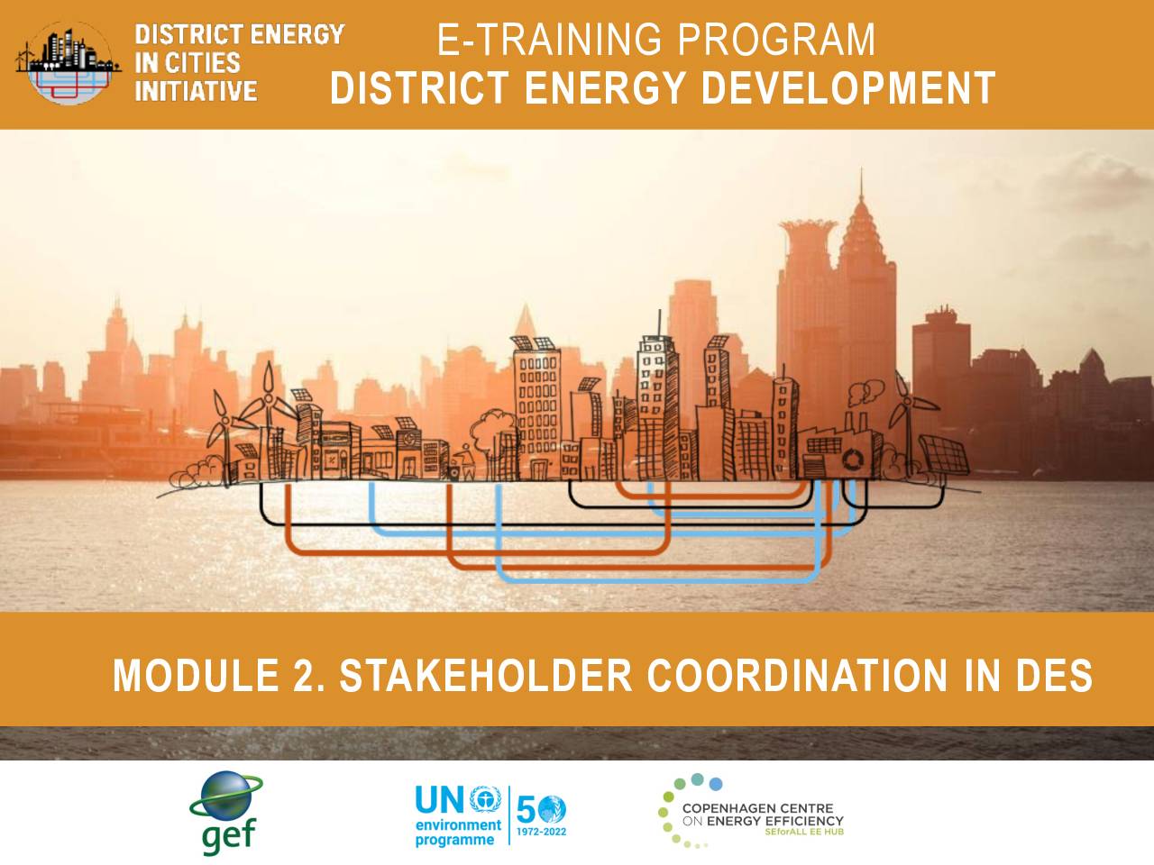 Module 2 – Stakeholder coordination for district energy development