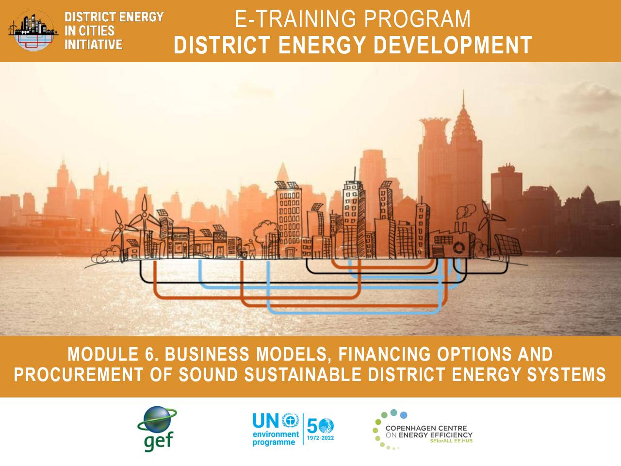 Module 6 – Business models for sound sustainable district energy systems