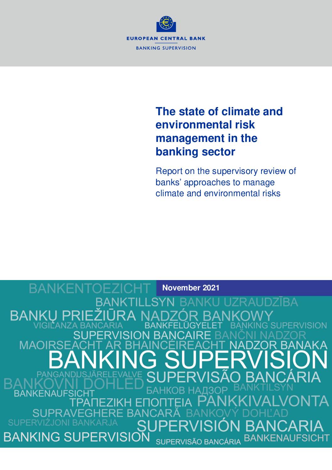 The State of Climate and Environmental Risk Management in the Banking Sector