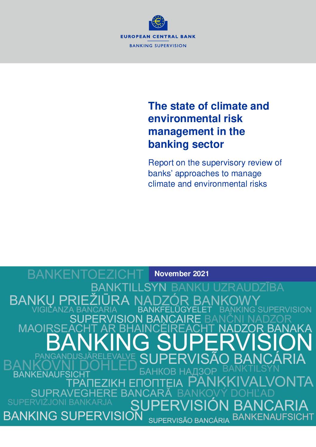 The State of Climate and Environmental Risk Management in the Banking Sector