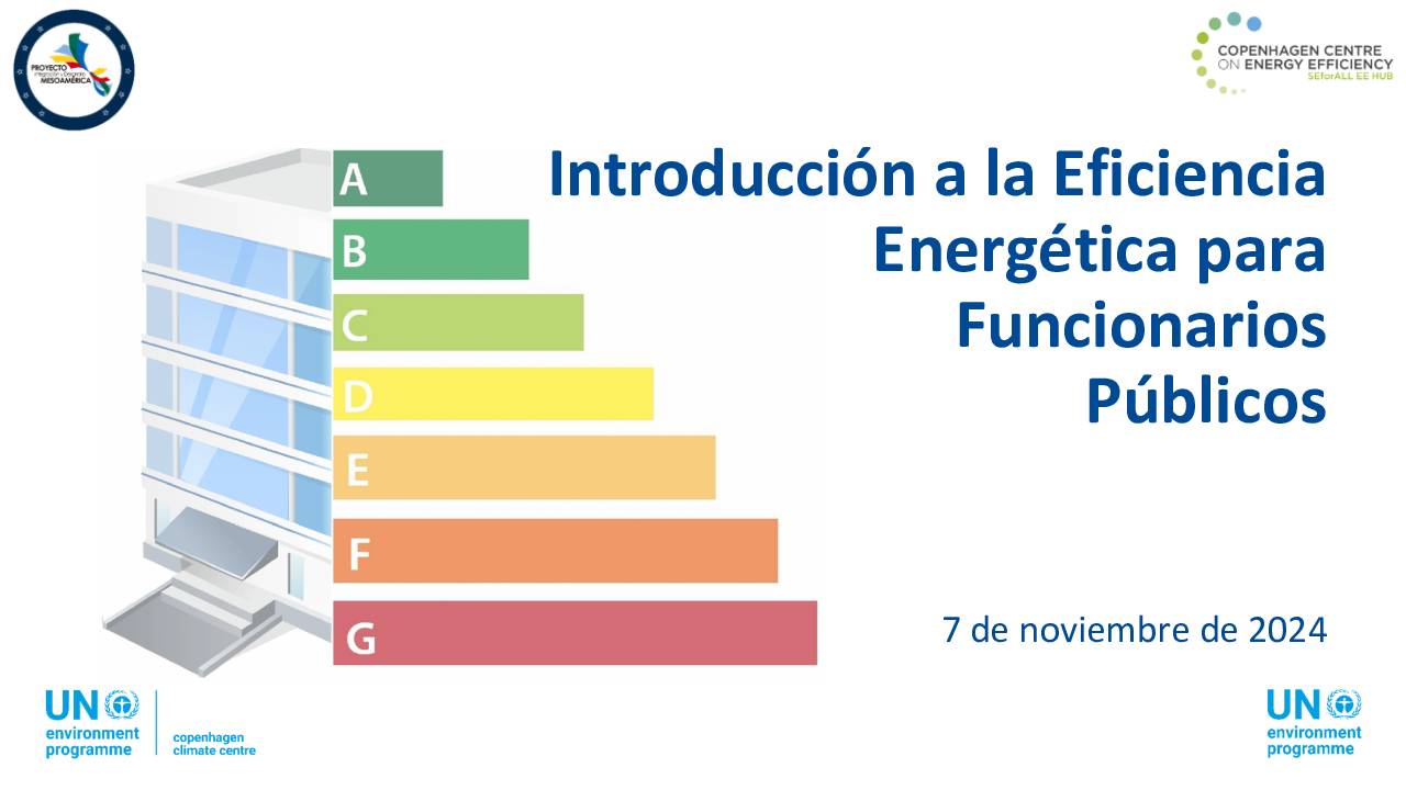 Introducción A La Eficiencia Energética Para Funcionarios Públicos (Webinar) – 07.11.2024